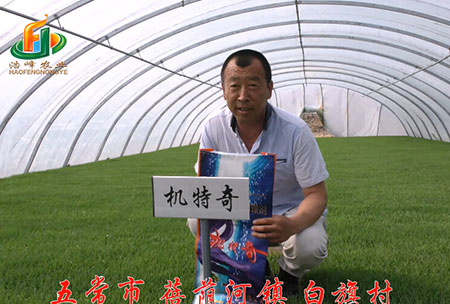 五常市-揹廕河-用(yong)戶(hu)迴(hui)訪視頻