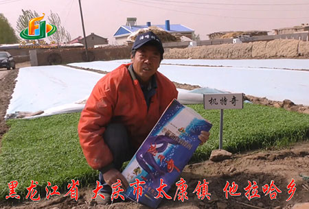 大慶-太(tai)康鎮-用戶迴訪視頻