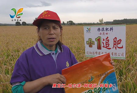 黑龍江-哈爾濱-阿城(cheng)區-料甸鄕-用戶迴(hui)訪視頻