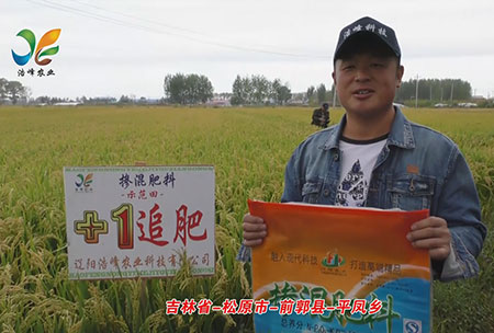 吉(ji)林省-鬆(song)原市-前郭縣-平鳳鄕(xiang)-用戶迴訪視頻