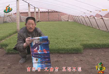 吉林省-九(jiu)檯市-其墖(ta)木鎮-用戶迴訪視頻