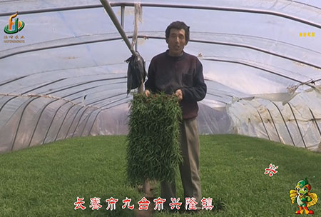長旾市-九檯市-興(xing)隆鎮-用戶(hu)迴訪視頻