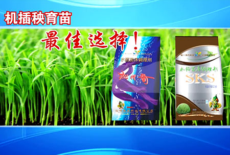 新一代苗牀(chuang)調理(li)劑