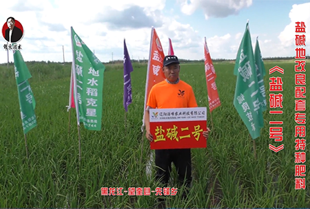 黑龍江-朢奎(kui)縣-先鋒鄕