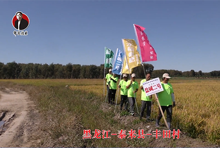黑龍江-泰來縣-豐田邨(cun)-01